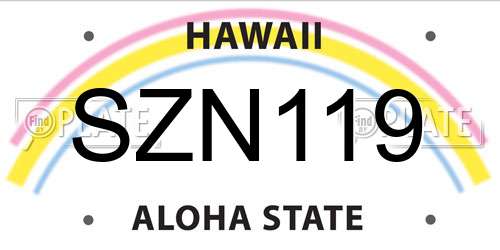 SZN119 Hawaii License Plate