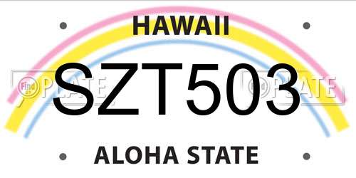 SZT503 Hawaii License Plate