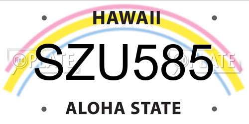SZU585 Hawaii License Plate