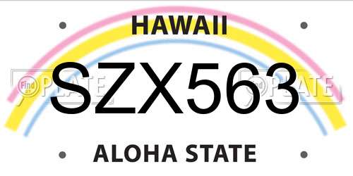 SZX563 Hawaii License Plate