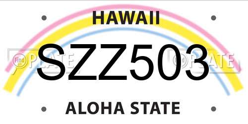 SZZ503 Hawaii License Plate