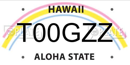 T00GZZ Hawaii License Plate