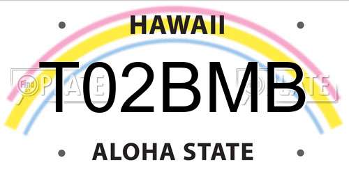 T02BMB Hawaii License Plate
