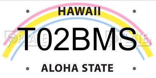 T02BMS Hawaii License Plate