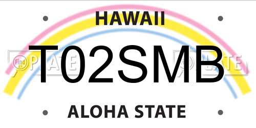 T02SMB Hawaii License Plate