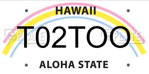T02TOO Hawaii License Plate