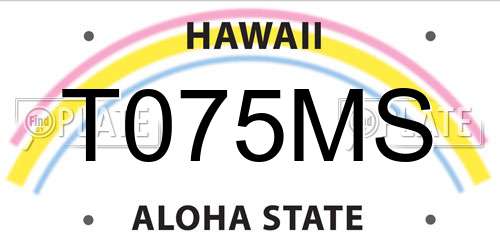 T075MS Hawaii License Plate
