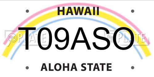 T09ASO Hawaii License Plate