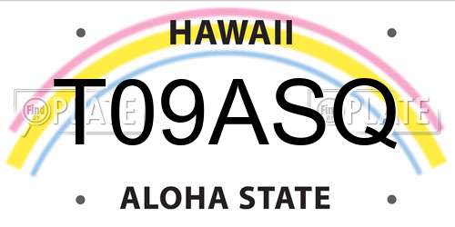 T09ASQ Hawaii License Plate
