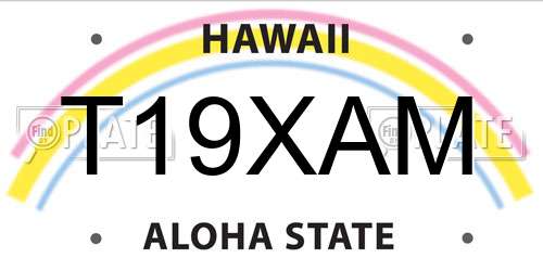 T19XAM Hawaii License Plate