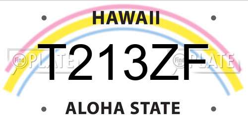 T213ZF Hawaii License Plate