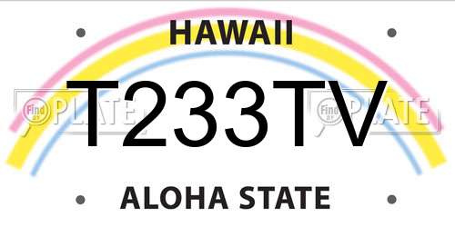 T233TV Hawaii License Plate