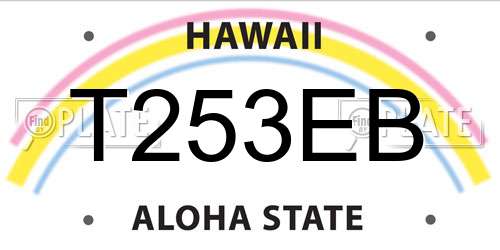 T253EB Hawaii License Plate