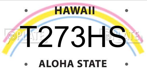 T273HS Hawaii License Plate