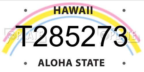 T285273 Hawaii License Plate