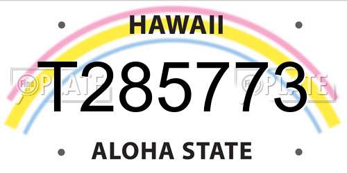 T285773 Hawaii License Plate
