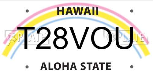 T28VOU Hawaii License Plate