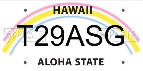 T29ASG Hawaii License Plate