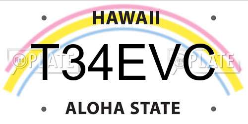 T34EVC Hawaii License Plate