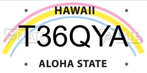 T36QYA Hawaii License Plate