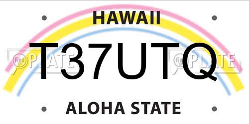 T37UTQ Hawaii License Plate