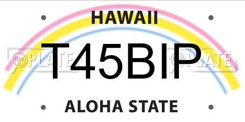 T45BIP Hawaii License Plate