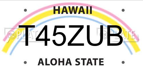 T45ZUB Hawaii License Plate