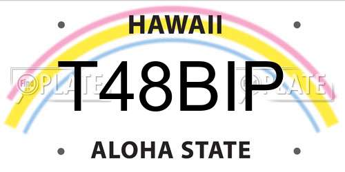 T48BIP Hawaii License Plate