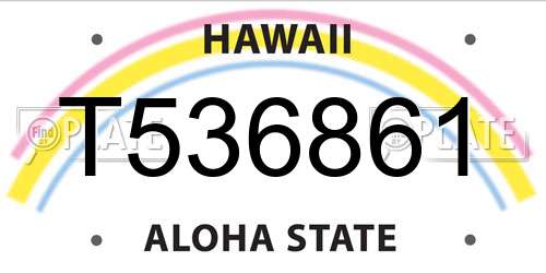 T536861 Hawaii License Plate