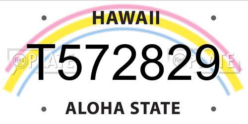 T572829 Hawaii License Plate