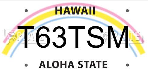 T63TSM Hawaii License Plate