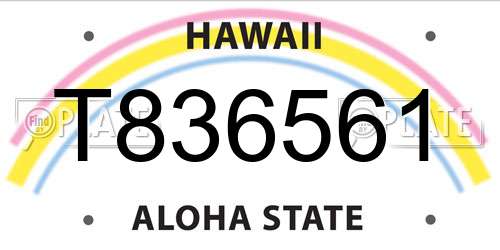 T836561 Hawaii License Plate