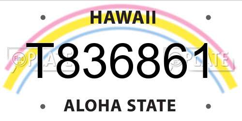 T836861 Hawaii License Plate