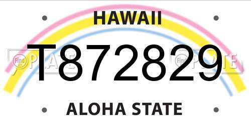 T872829 Hawaii License Plate