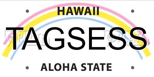 TAGSESS Hawaii License Plate