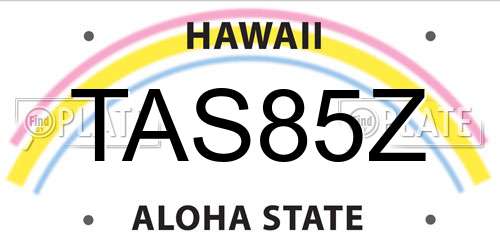 TAS85Z Hawaii License Plate