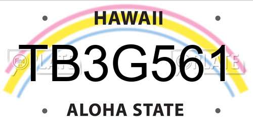 TB3G561 Hawaii License Plate