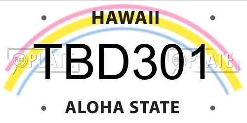 TBD301 Hawaii License Plate