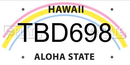 TBD698 Hawaii License Plate