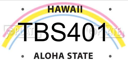 TBS401 Hawaii License Plate