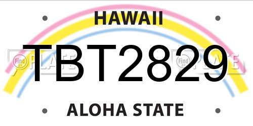 TBT2829 Hawaii License Plate