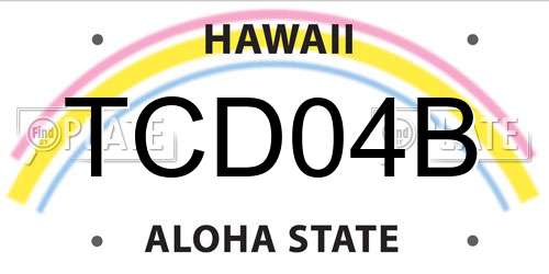 TCD04B Hawaii License Plate