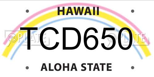 TCD650 Hawaii License Plate