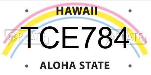 TCE784 Hawaii License Plate