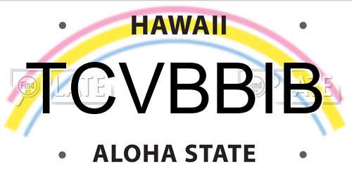 TCVBBIB Hawaii License Plate