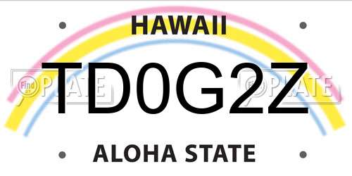 TD0G2Z Hawaii License Plate