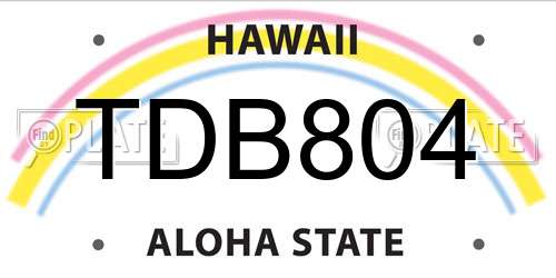 TDB804 Hawaii License Plate