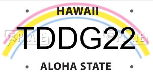 TDDG22 Hawaii License Plate