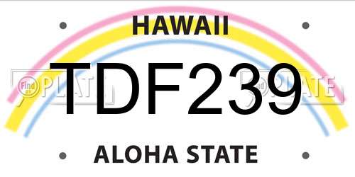 TDF239 Hawaii License Plate