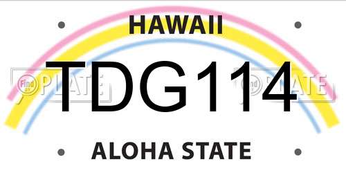 TDG114 Hawaii License Plate